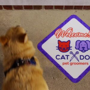 Outdoor Floor Graphics