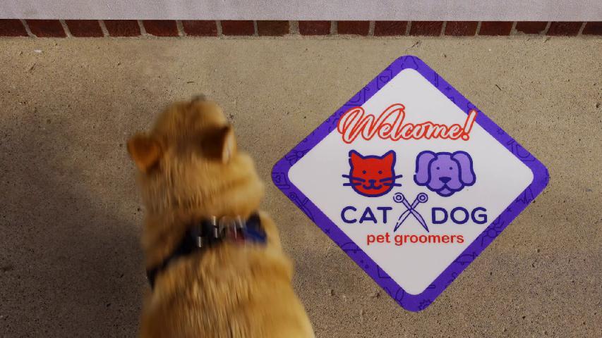 Outdoor Floor Graphics